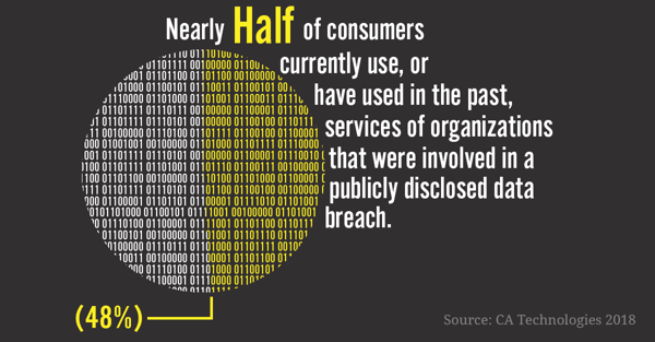 Consumers Impacted by Data Breaches Infographic